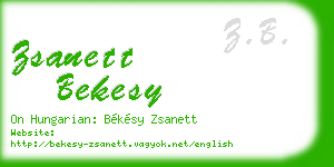 zsanett bekesy business card